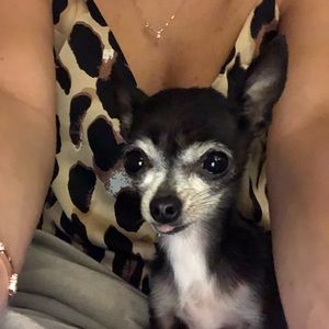 Meet your Posher, Caroline